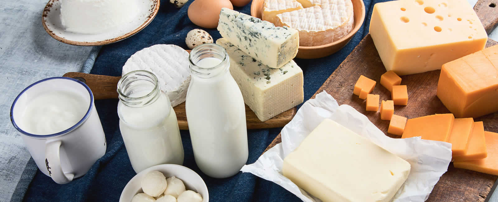 Dairy Products Trading