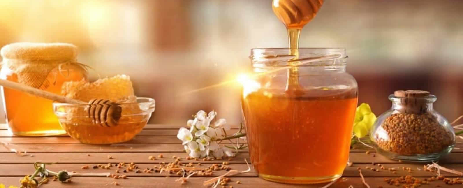 Honey & Apiary Accessories Trading